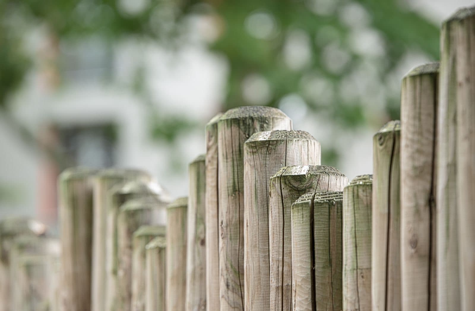 Fencing Dumfries: Timber, Concrete Post-and-Panel or UPVC